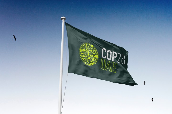 A Recap of COP28