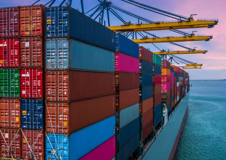 The Tariff Man: A Deeper Dive into Trump’s 2024 Economic Agenda