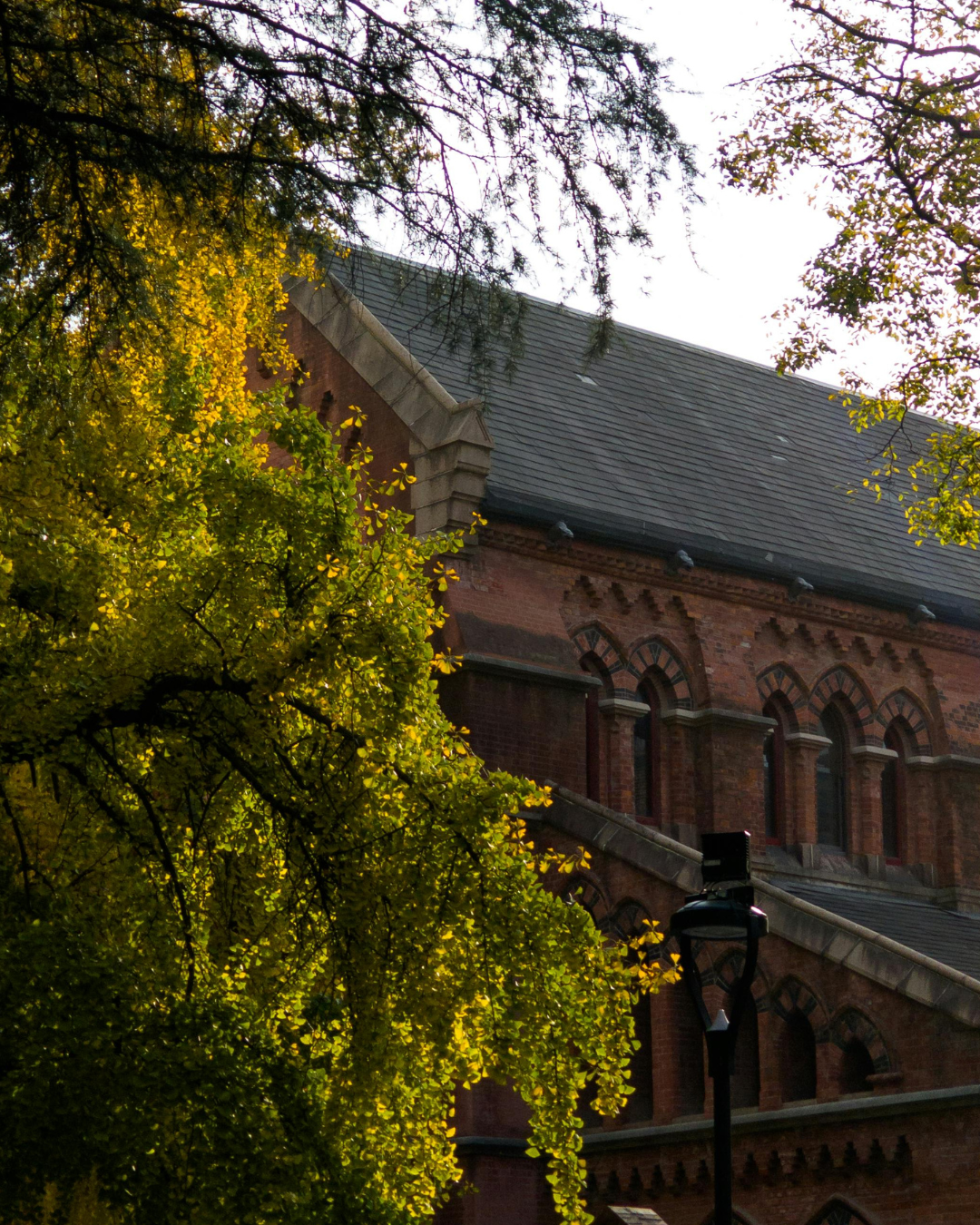 Brown Shooting Opens Questions About Safety And Gun Control